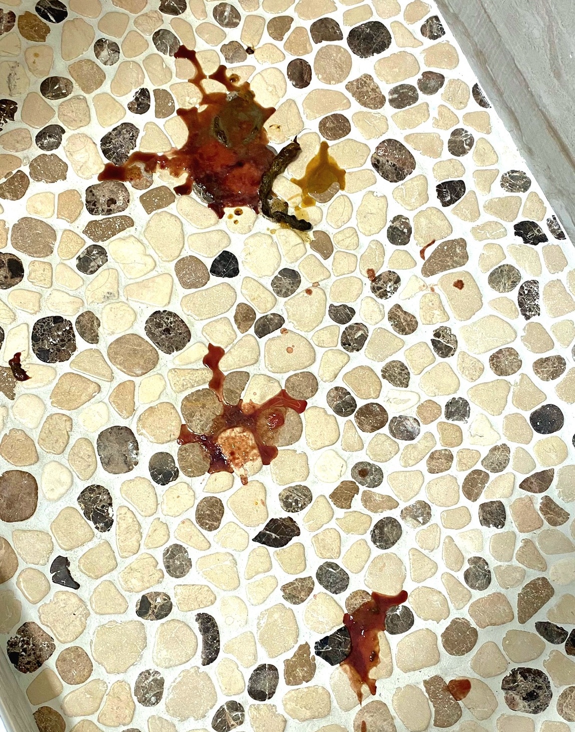 Dog Pooping Blood? Here’s Why and What to Do | PetMD